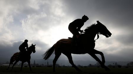 https://betting.betfair.com/horse-racing/Cheltenham%20-%20Shadow%20-%201280.jpg